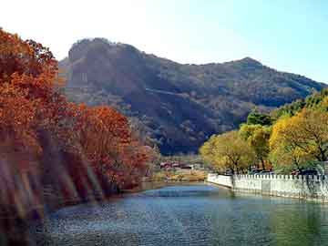 新澳天天开奖资料大全旅游团，郑州水晶影像